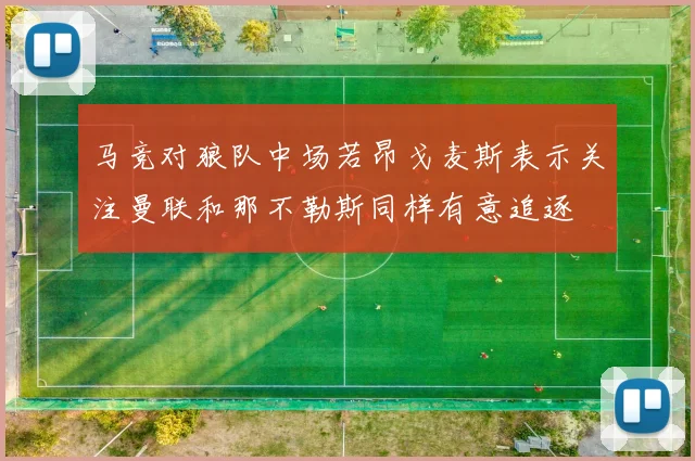 马竞对狼队中场若昂戈麦斯表示关注曼联和那不勒斯同样有意追逐