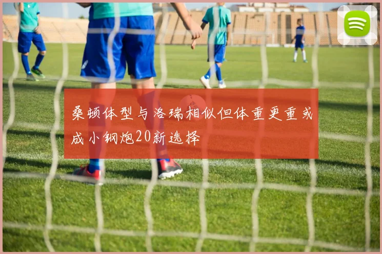桑顿体型与洛瑞相似但体重更重或成小钢炮20新选择