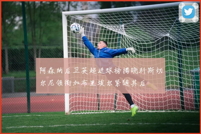 阿森纳后卫英超进球榜揭晓科斯切尔尼领衔加布里埃尔紧随其后